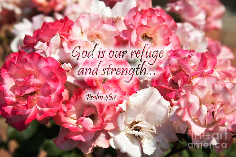 Summer Roses with Scripture Photograph by Jill Lang