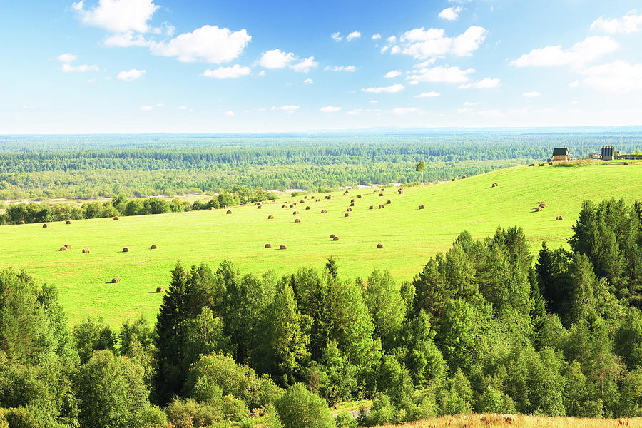 Summer Rural Landscape Photograph by Vnosokin
