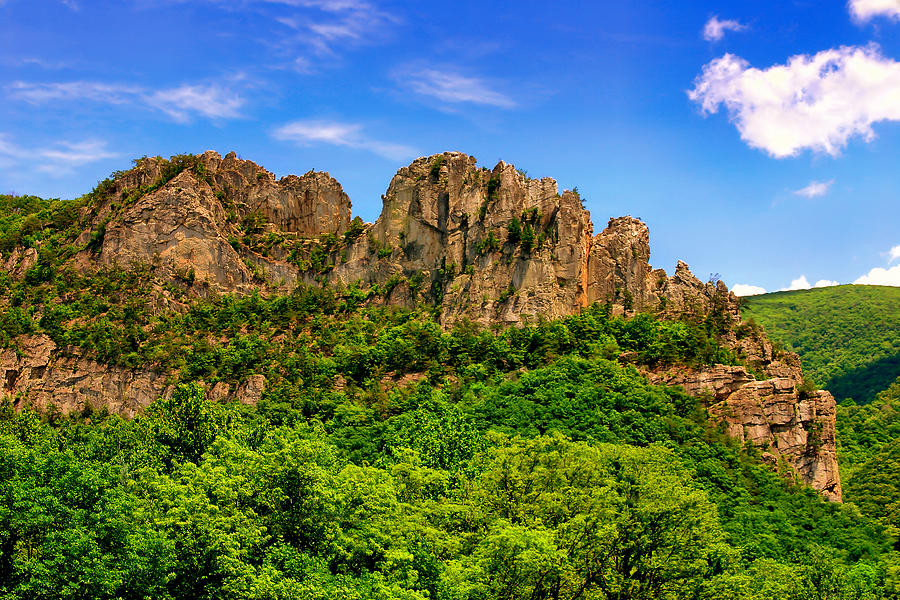 Summer Seneca Rocks Photograph by Mary Almond