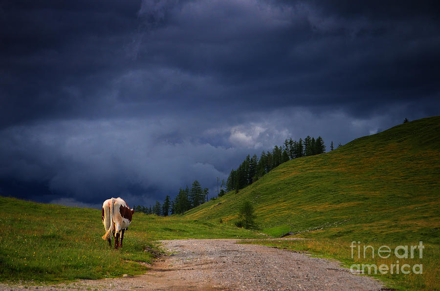 Mountain Photograph - Summer Storm Austria by Sabine Jacobs