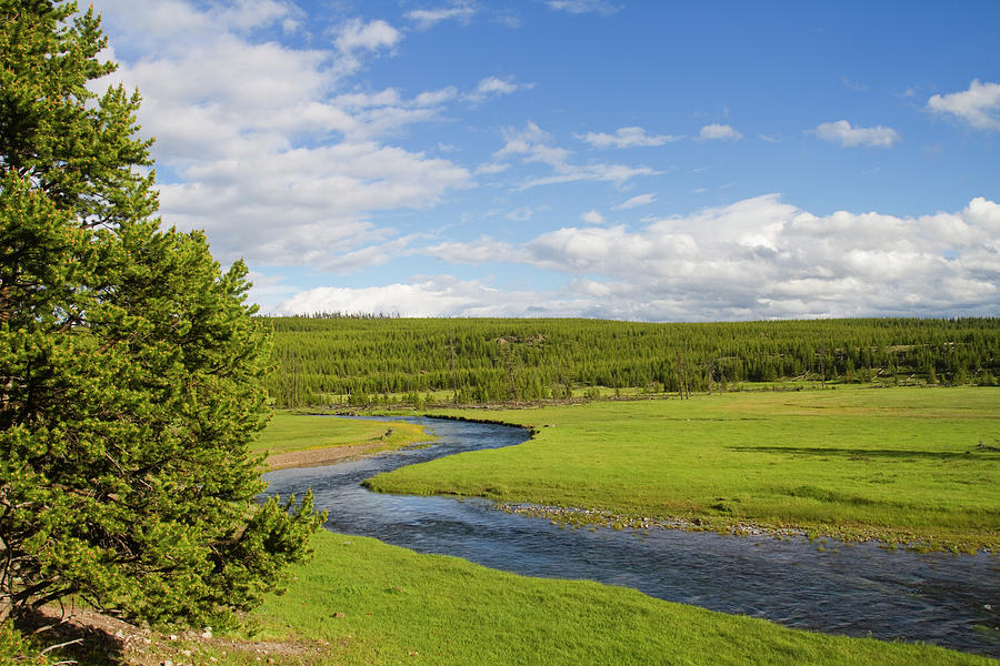 Summer Stream And Green Meadow Photograph by Mark Miller Photos