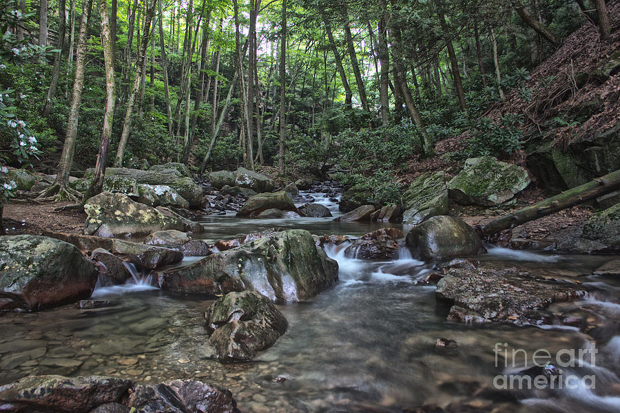 Summer Stream in Ohiopyle Photograph by Jeannette Hunt