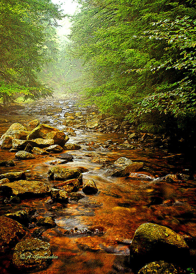 Summer Stream Pocono Mountains Pennsylvania Photograph by A Macarthur Gurmankin