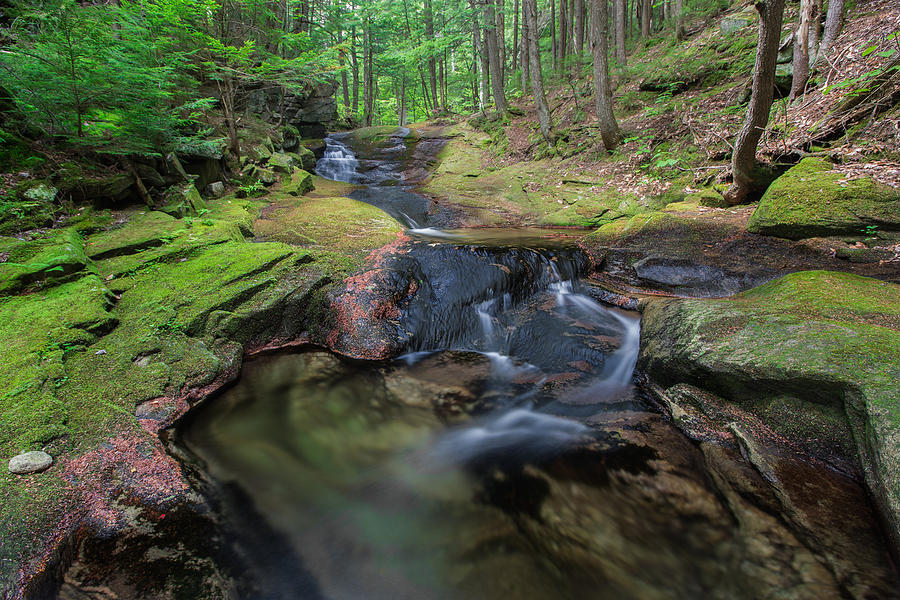 Summer Streams at Mossy Glen Photograph by White Mountain Images