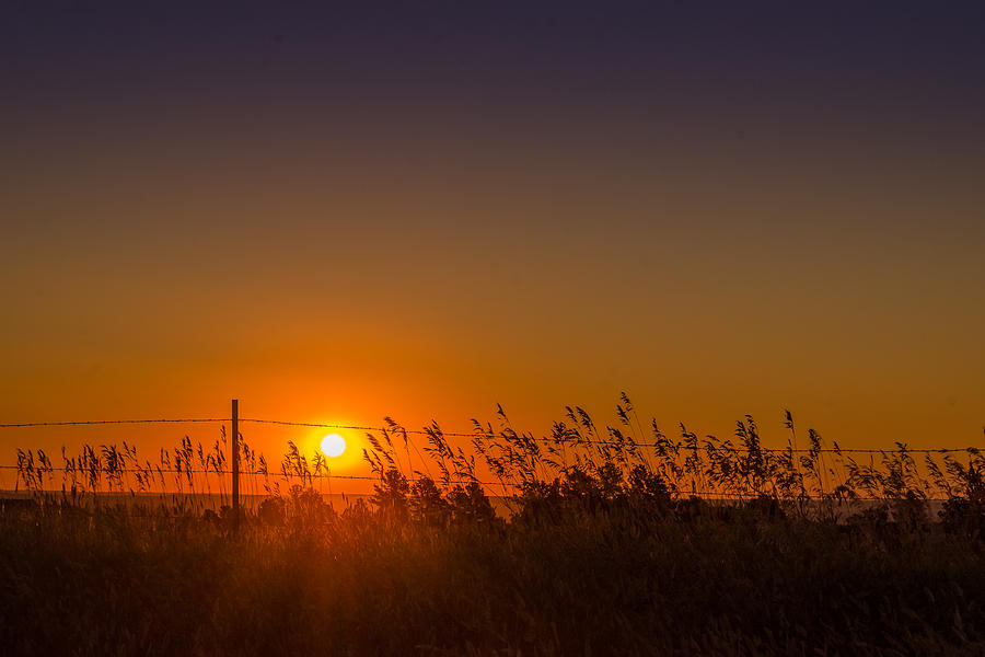 Summer Sunrise on the Plains Photograph by Greni Graph
