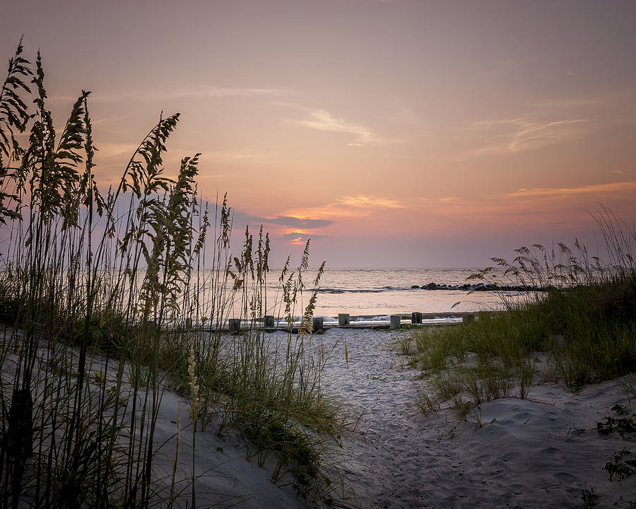 Summer Sunrise Photograph by Steve DuPree