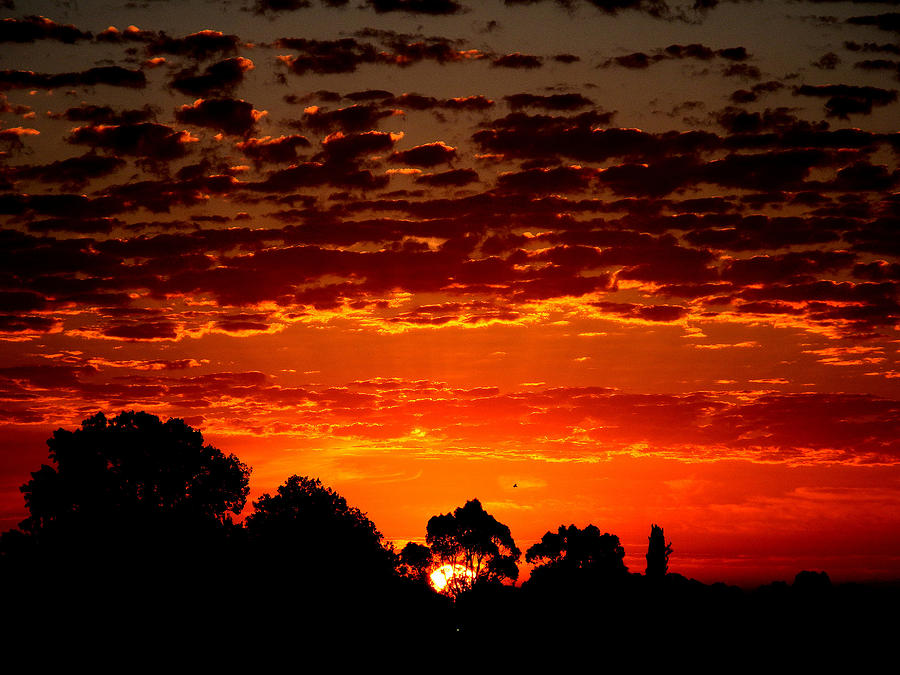 Summer Sunset Photograph by Mark Blauhoefer