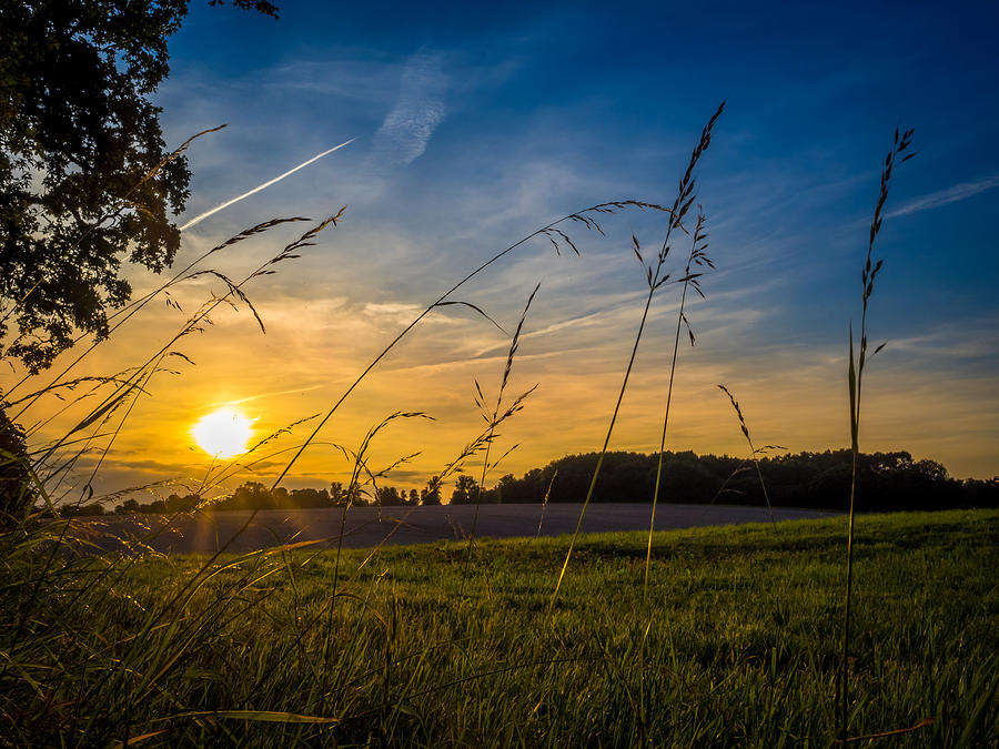 Summer Sunset Photograph by Mark Llewellyn