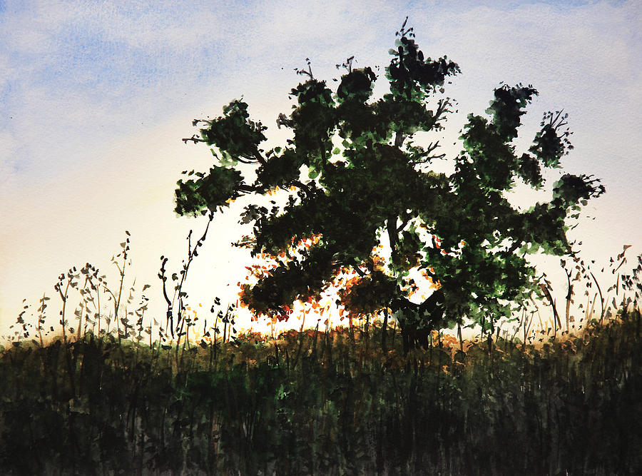 Summer Sunset Painting by Masha Batkova