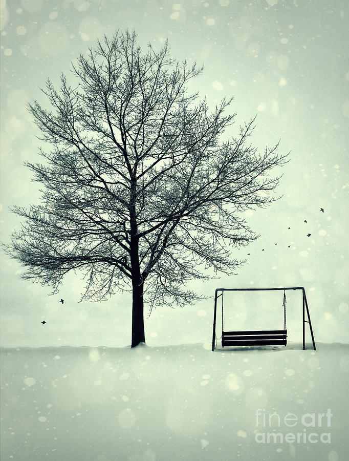 Summer swing abandoned in snow beside tree Photograph by Sandra Cunningham