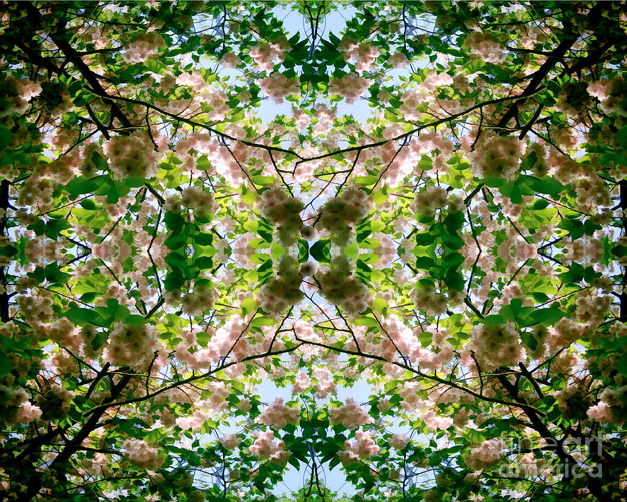 Summer Symmetry by David Hargreaves Summer Symmetry by David Hargreaves