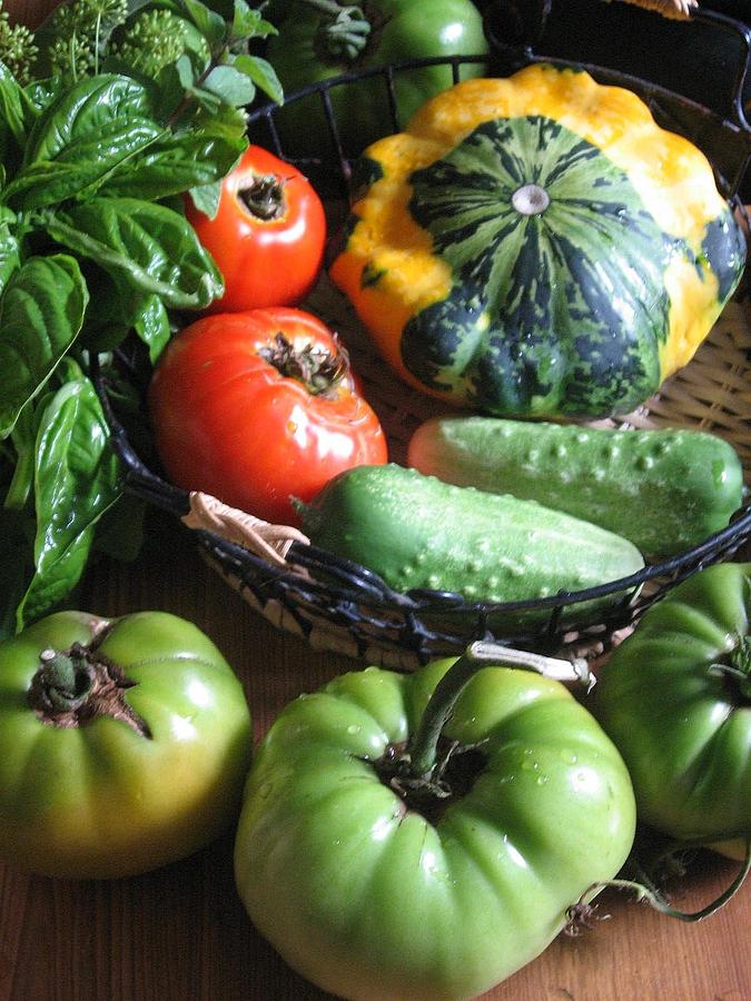 Summer Vegetable Garden by Deb Martin-Webster Summer Vegetable Garden by Deb Martin-Webster
