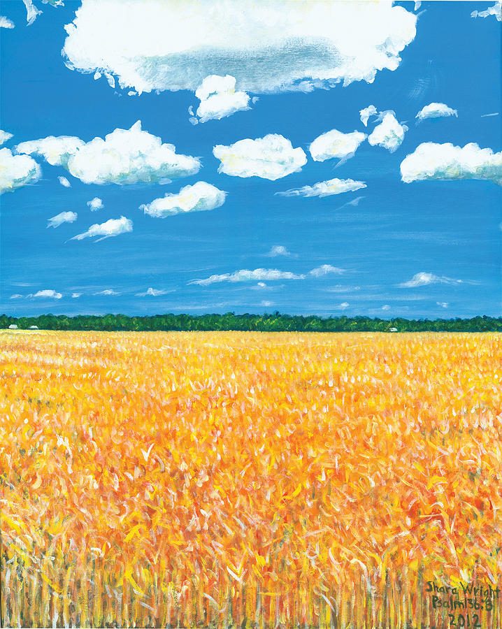 Summer Wheat Painting by Shara Wright - Fine Art America