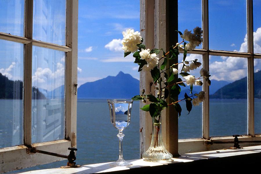 Vase Painting - Summer Window-2 by Michael Dohnalek