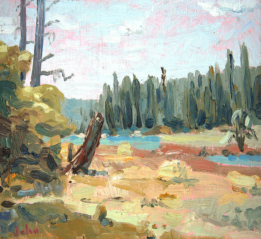 Yosemite National Park Painting -  Bear Stump by John Matthew