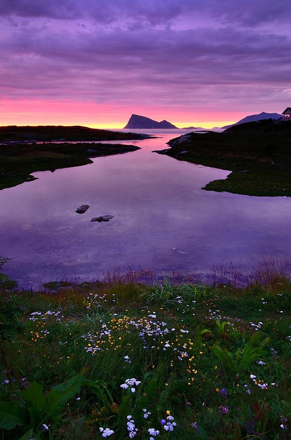 Summernight Photograph by John Hemmingsen - Fine Art America