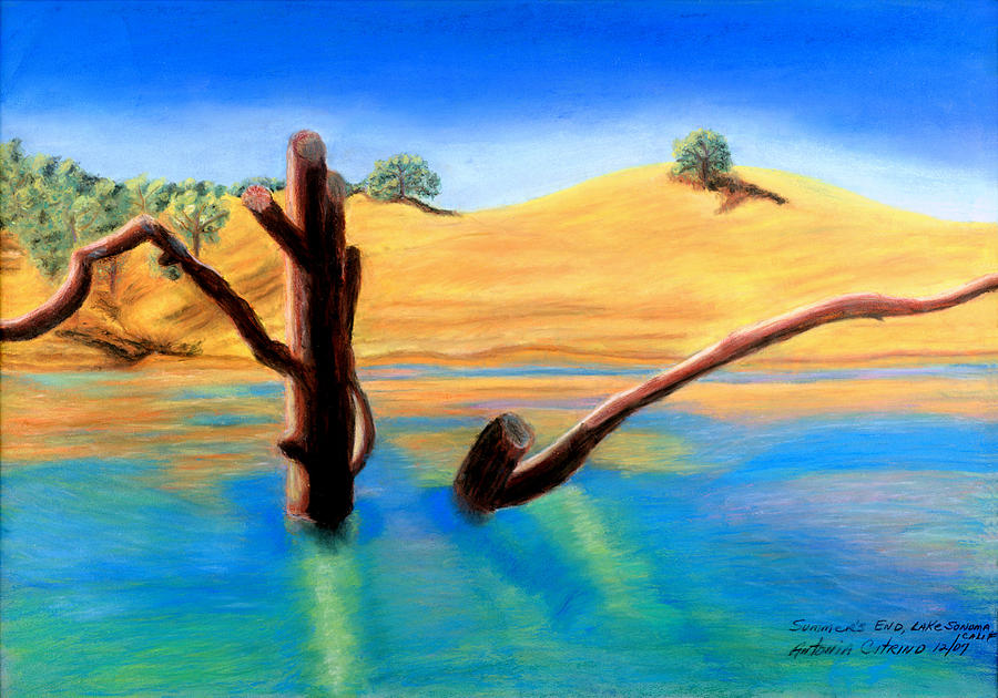 Landscape Pastel - Summers End    Pastel by Antonia Citrino