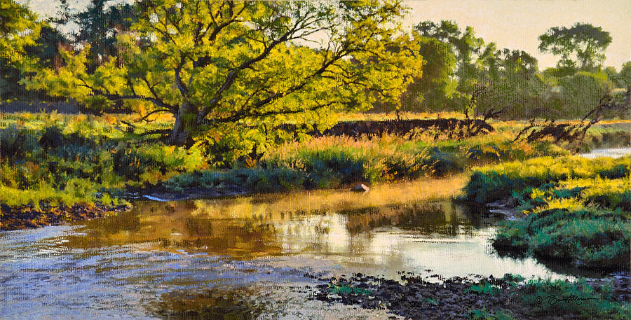Summers Stream Dawn Painting by Bruce Morrison