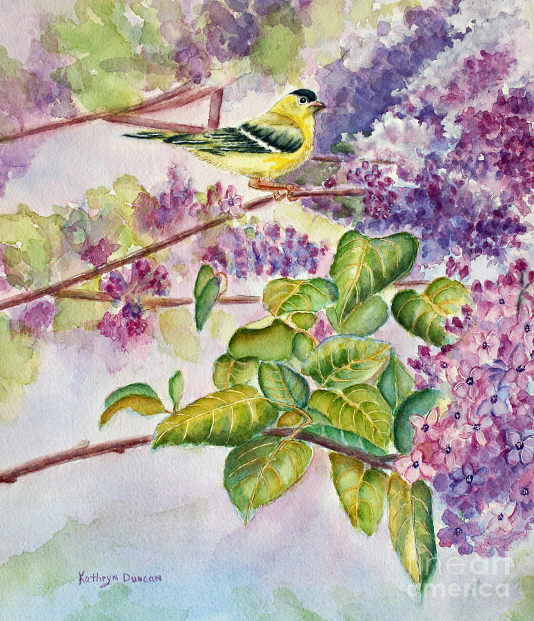 Finch Painting - Summertime Arrival by Kathryn Duncan