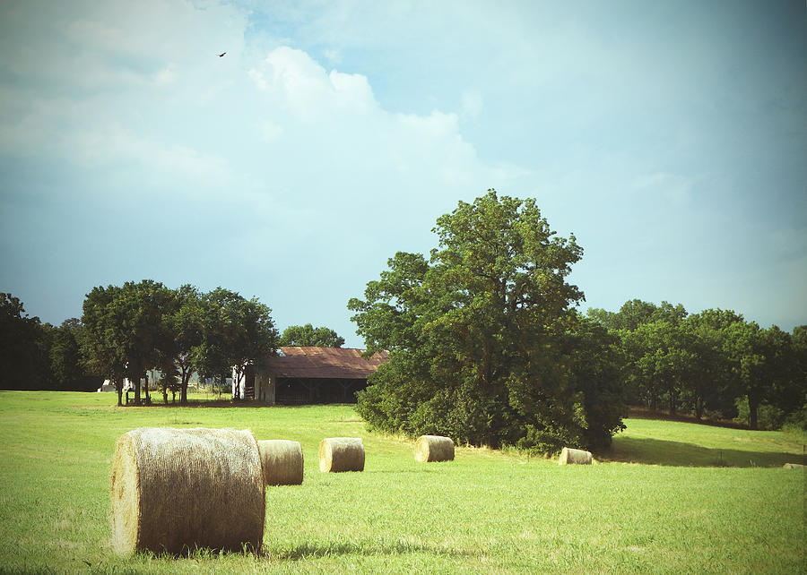 Summertime  Hay Bales  Photograph by Ann Powell