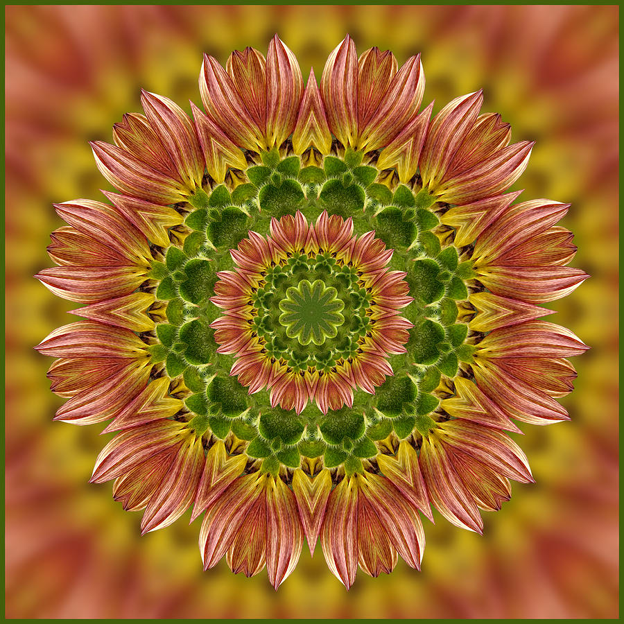 Summertime Mix Sunflower Kaleidoscope Photograph by Liz Mackney