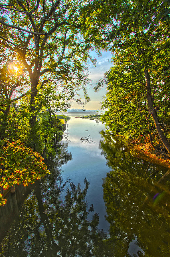 Summertime Reflections Photograph by Robert Seifert