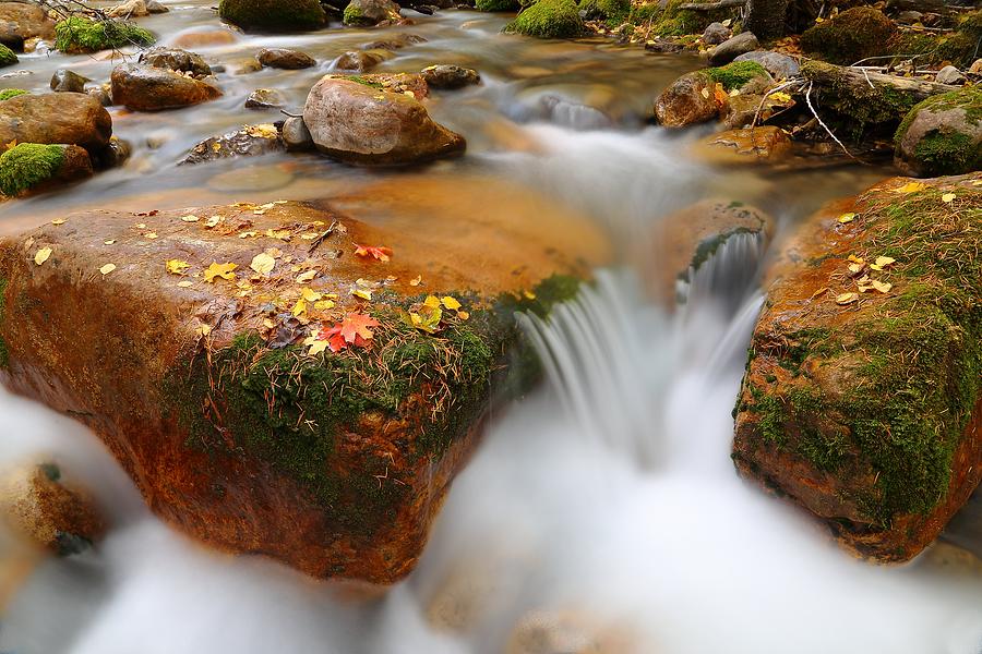 Summit Creek Autumn Photograph by David Andersen