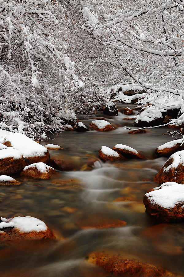 Summit Creek Winter Photograph by David Andersen