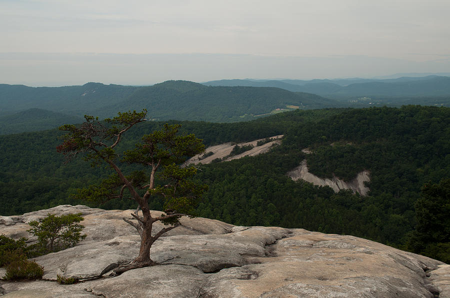 Summit of Stone Mountain State Park in North Carolina Photograph by Bruce Gourley