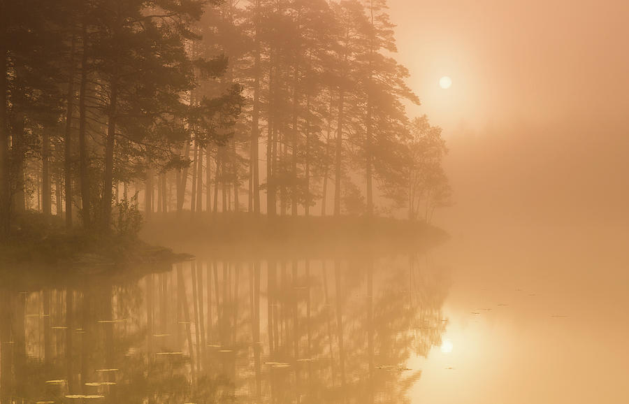 Sun & Mist Photograph by Andreas Christensen
