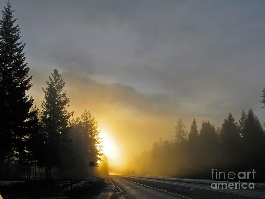 Sun and Fog Photograph by Cindy Murphy - NightVisions 