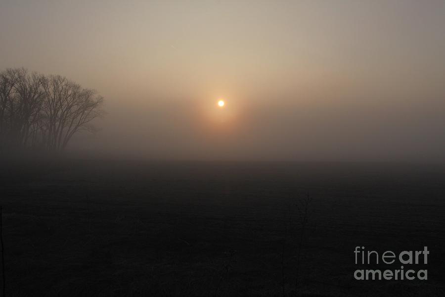 Sun and Fog Photograph by Rick Rauzi