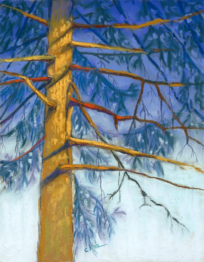 Sun and Shade Pine Pastel by Christine Camp