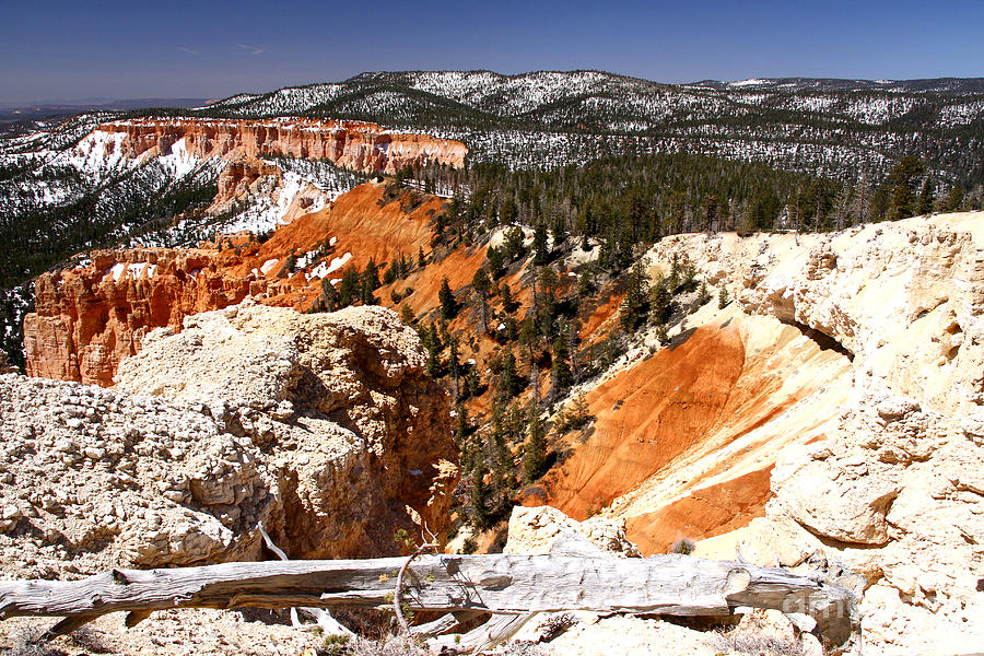 Sun and Snow Bryce Canyon Photograph by Butch Lombardi