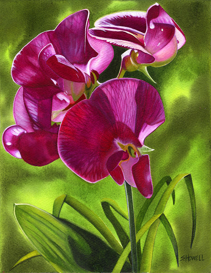 Sun and the Sweet Peas Painting by Sandi Howell