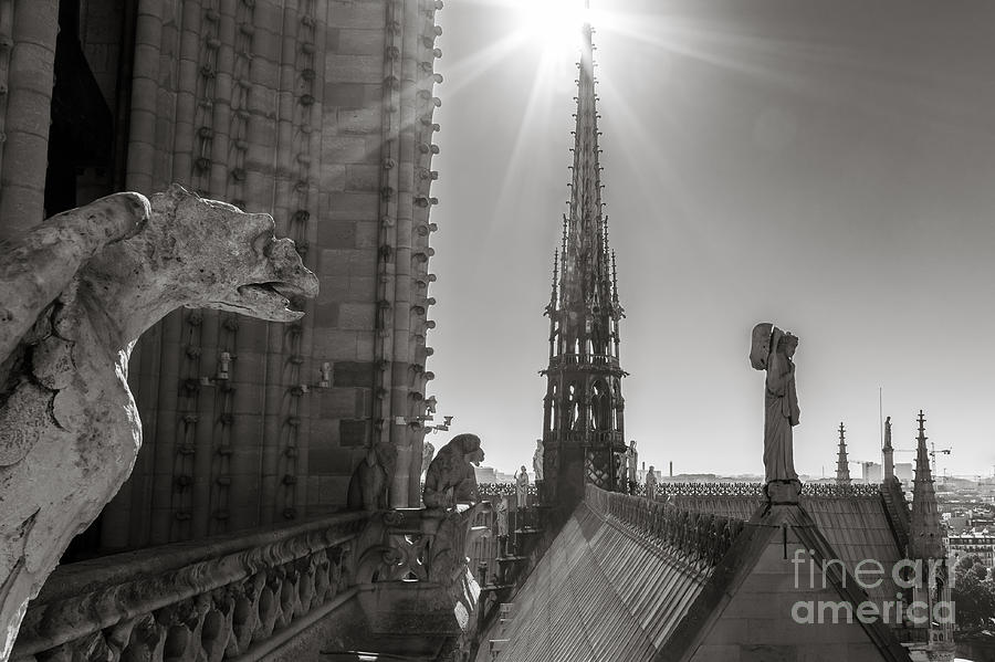 Sun Beams On The Roof Of Notre Dame Photograph