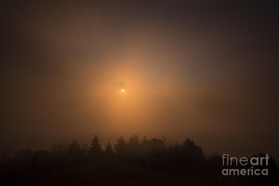 Sun burning through the fog on Bald Knob Photograph by Dan Friend