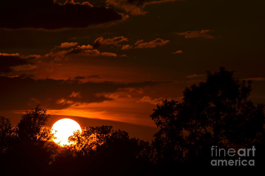 Sun cradle... Photograph by Dan Hefle