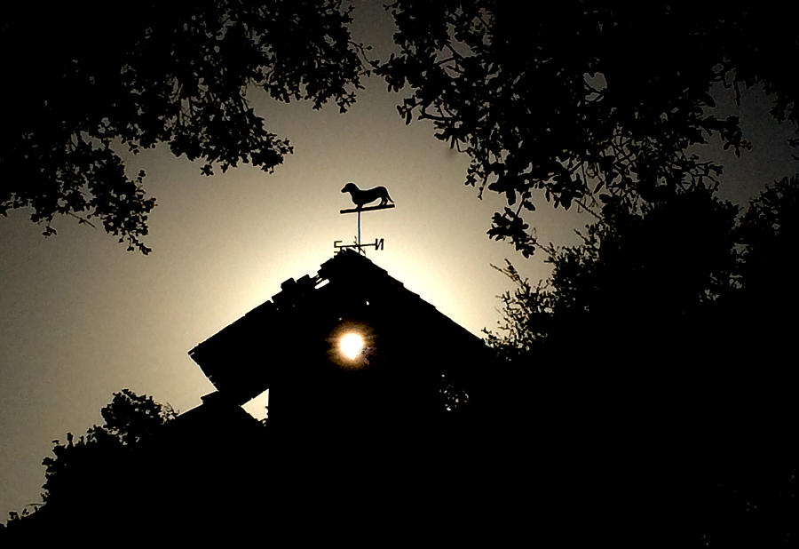 Sun Cupola and a Dachshund  Photograph by Roger Mullenhour