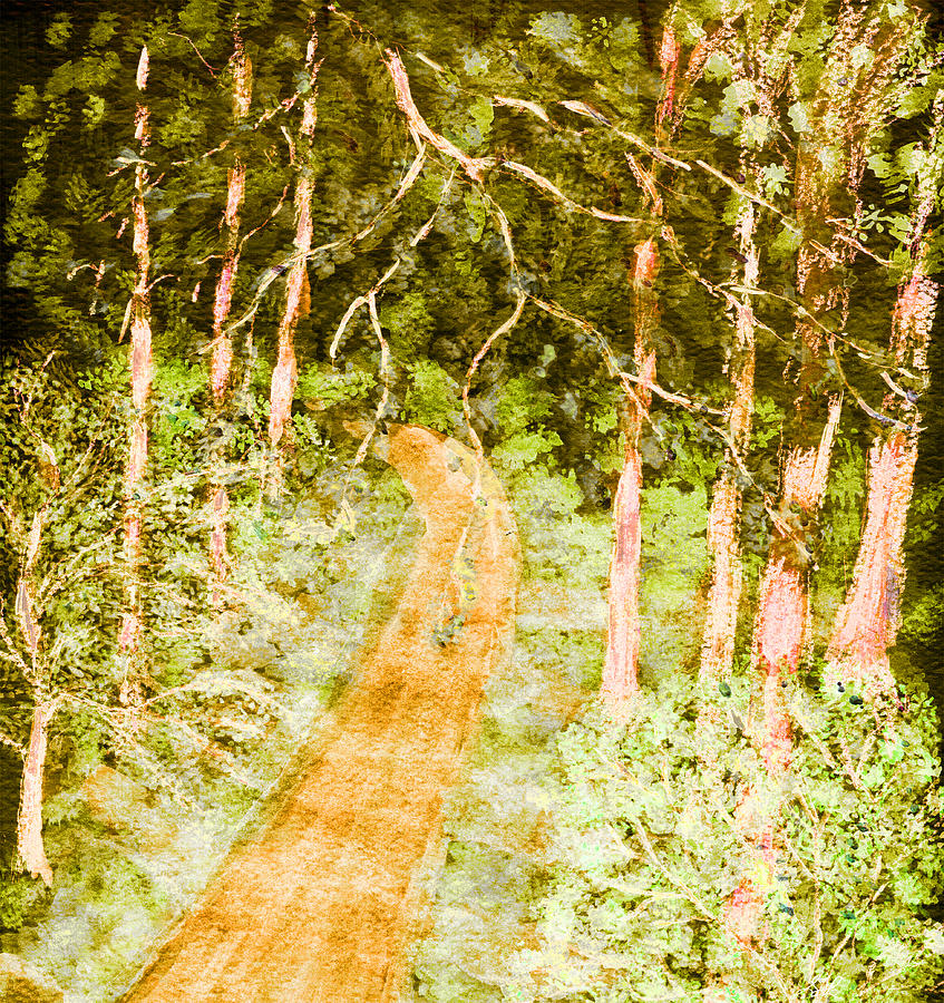 Sun Dappled Path Painting by Stephanie Grant