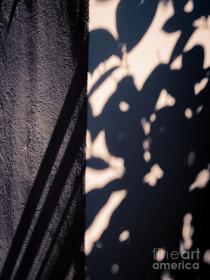 Abstract Photograph - Sun dappled wall by Silvia Ganora