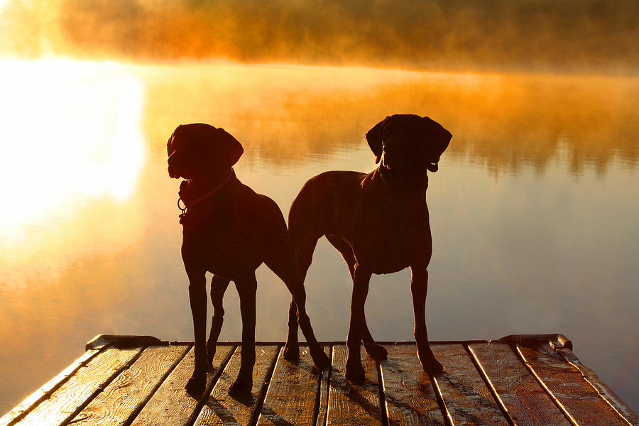 Sun Dogs Photograph by Brook Burling Sun Dogs Photograph by Brook Burling