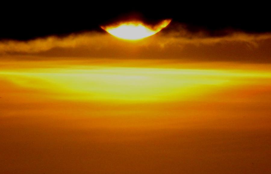 Sun Drop Photograph by Chris Dunn