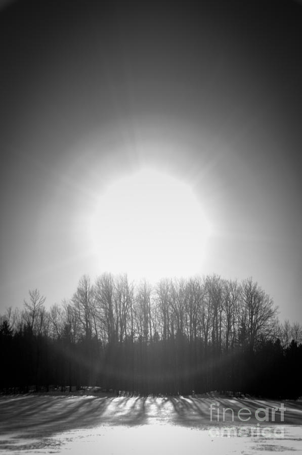 Sun Flare Photograph by Cheryl Baxter