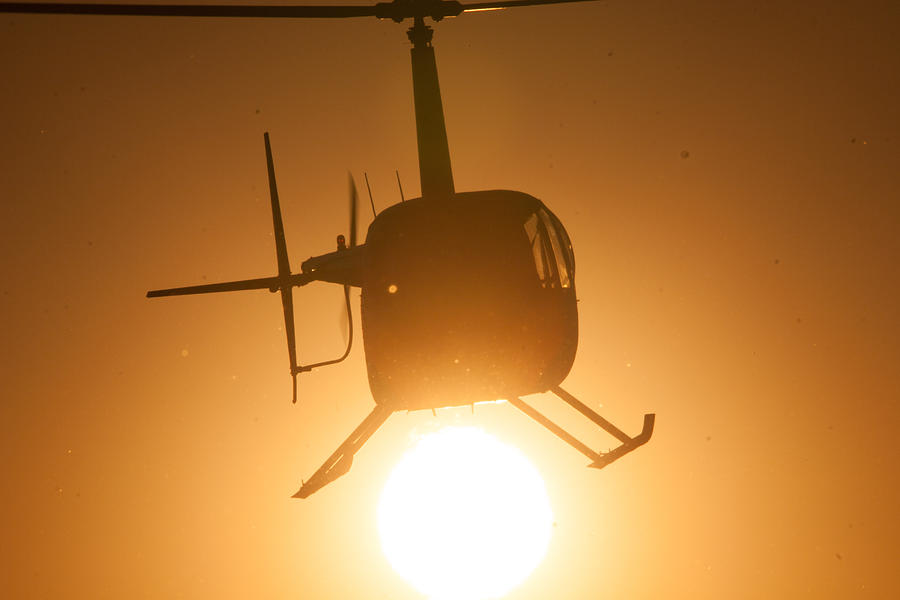 Sun Flight Photograph by Paul Job