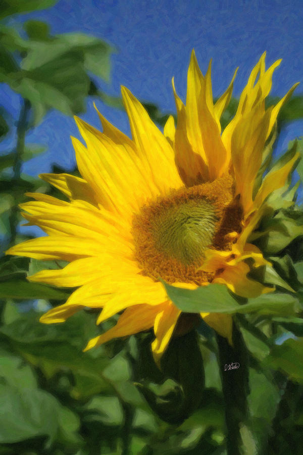 Sun Flower 7001 Painting by Dean Wittle