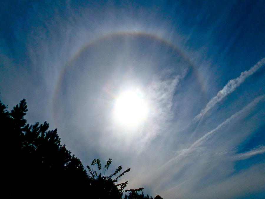 Sun Halo Photograph by Jean Wright