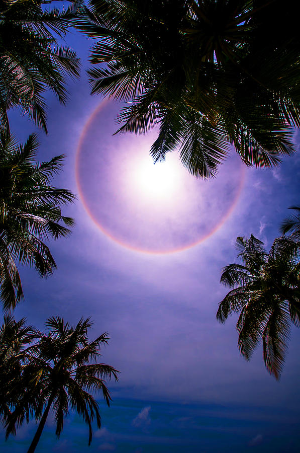 Sun Halo. Maldives Photograph by Jenny Rainbow