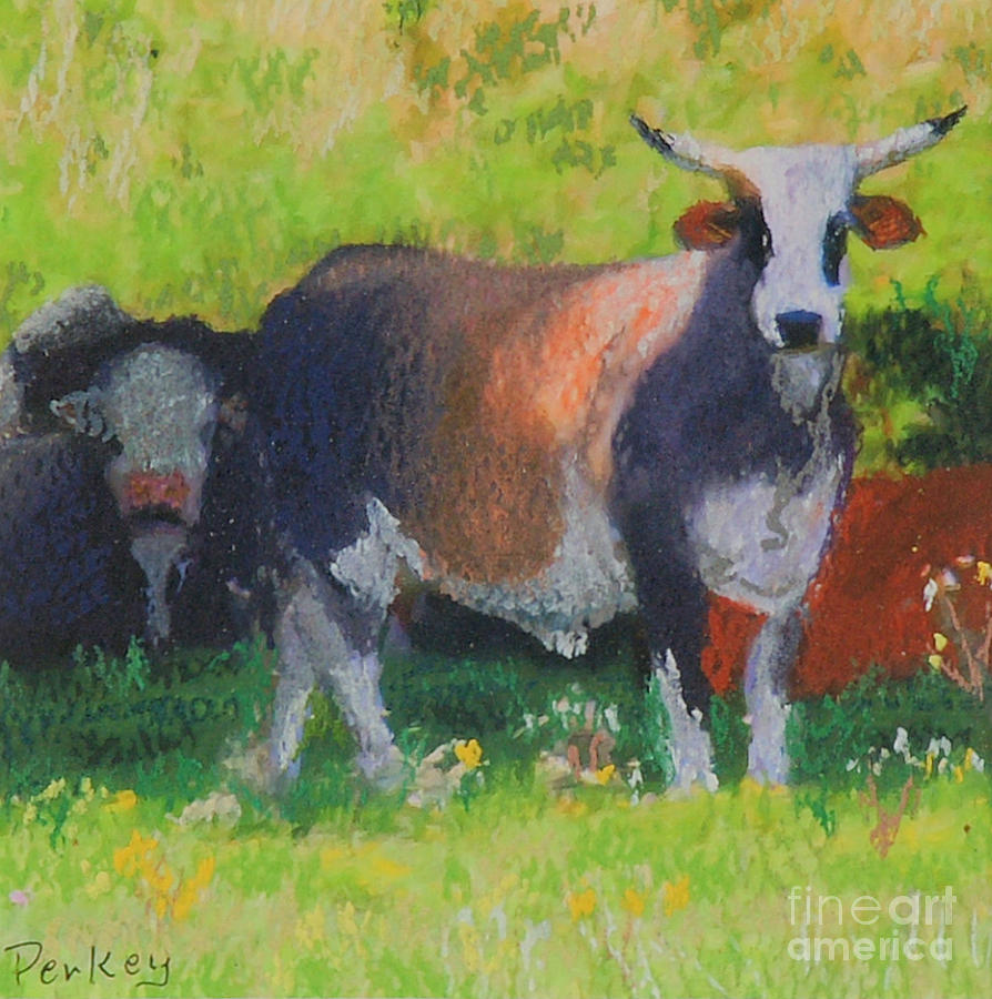 Cow Painting - Sun in Taurus by Patricia  Collins-Perkey