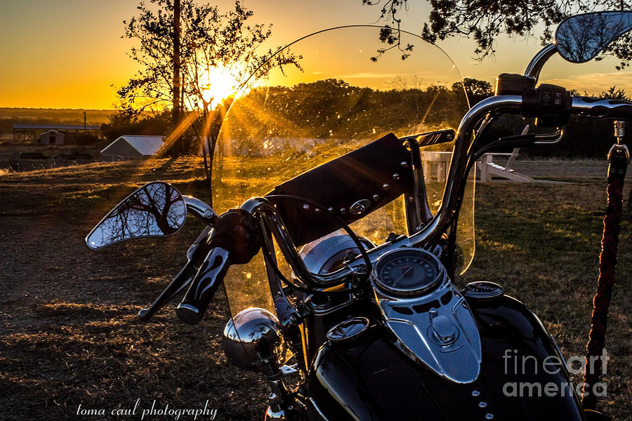 Sun Is Up Time To Ride Photograph by Toma Caul